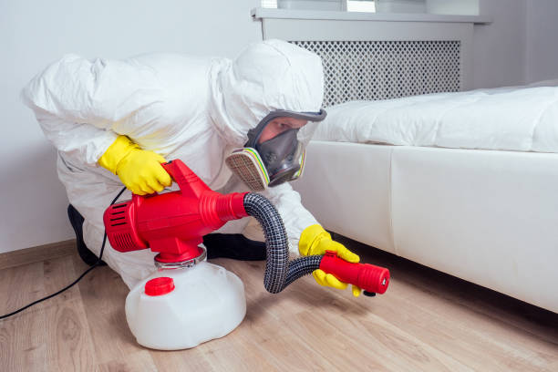 Best Fumigation Services  in Langley, WA